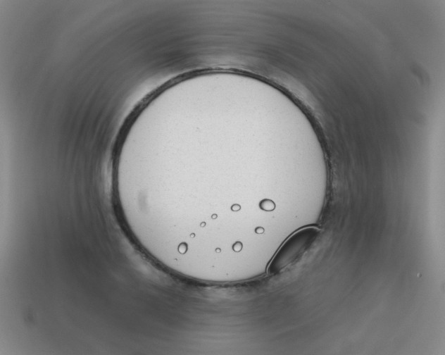 X0000113871032200910221330