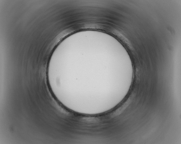 X0000113871033200910221330
