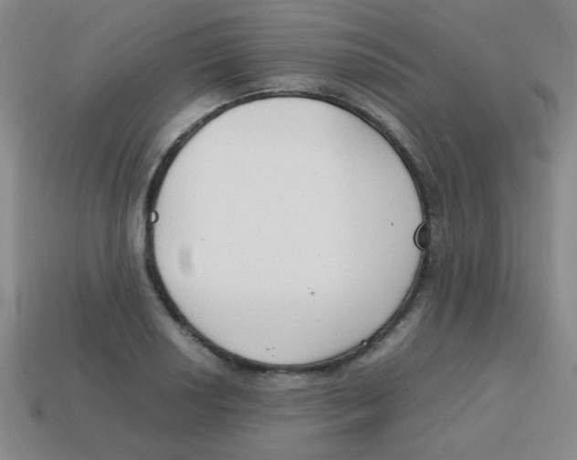 X0000113871034200910221330