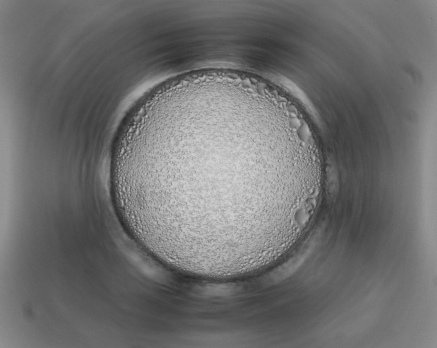 X0000113871035200910221330