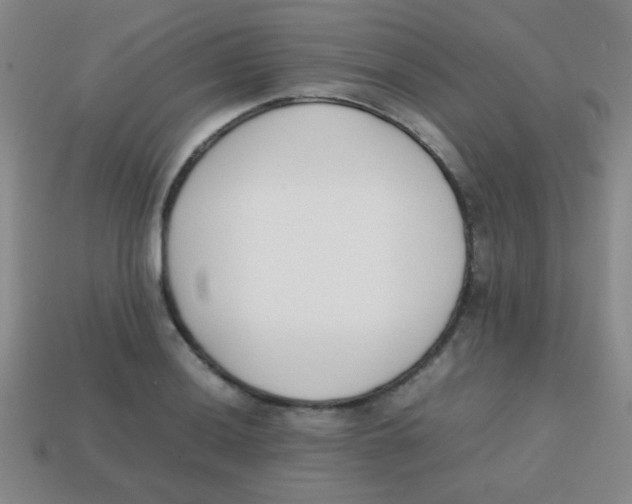 X0000113871036200910221330