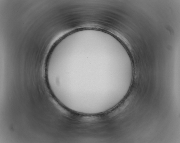 X0000113871037200910221330