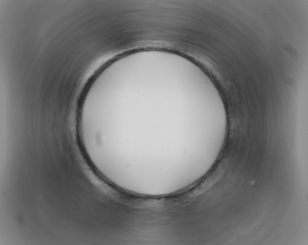 X0000113871038200910221330