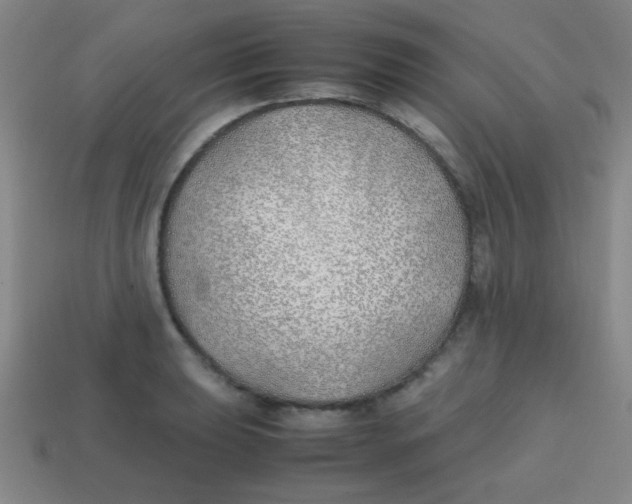 X0000113871039200910221330