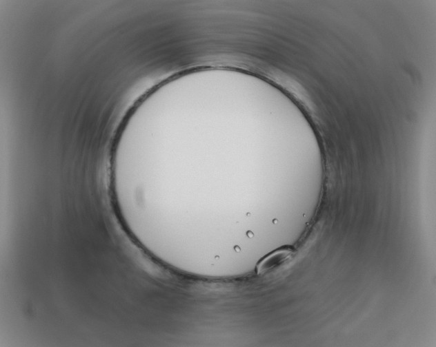 X0000113871040200910221330