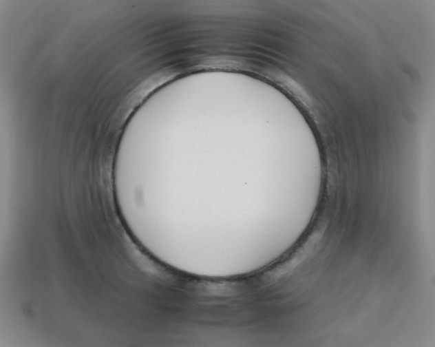 X0000113871041200910221330