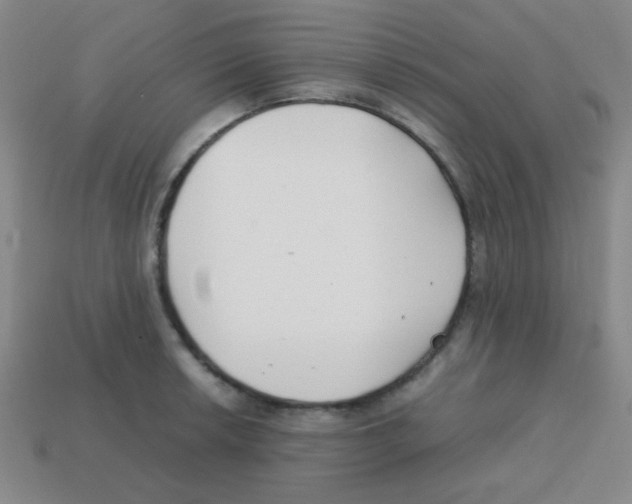 X0000113871042200910221330