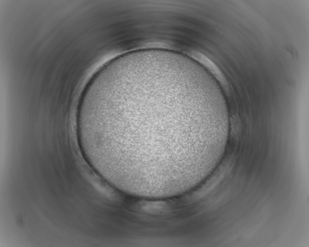 X0000113871043200910221330