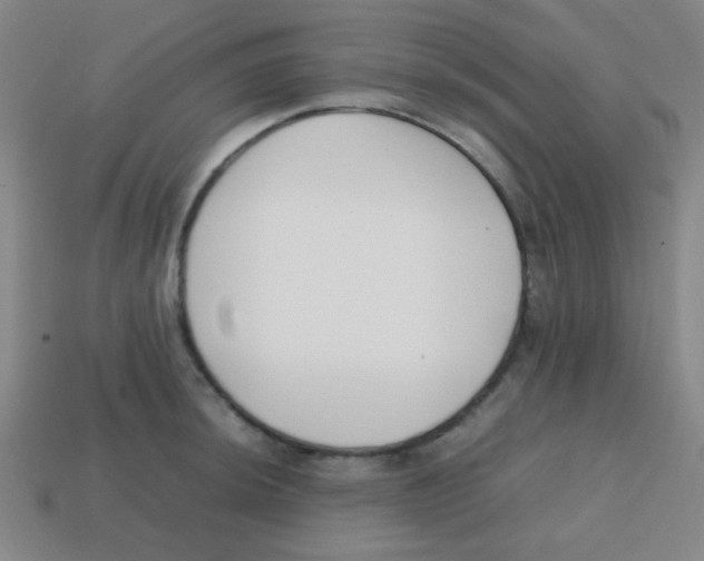 X0000113871044200910221330