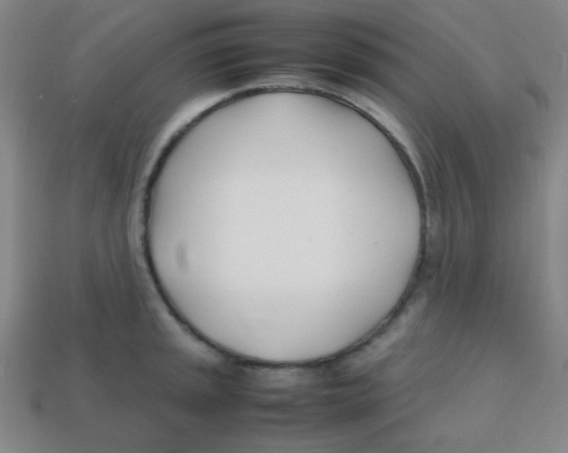X0000113871045200910221330