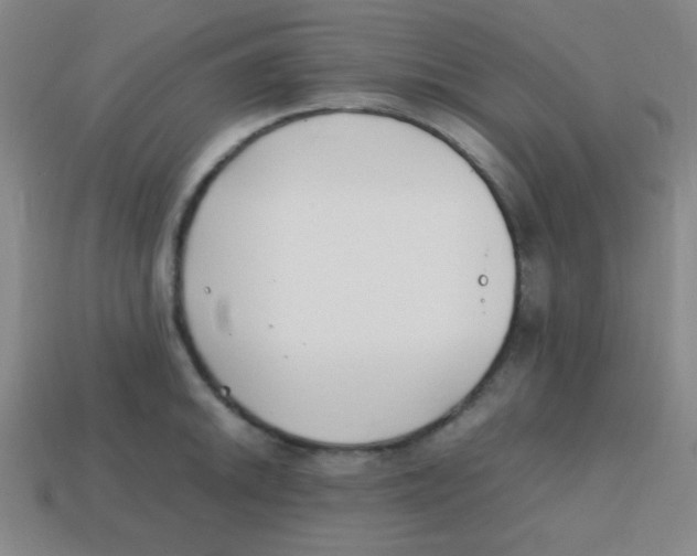 X0000113871046200910221331