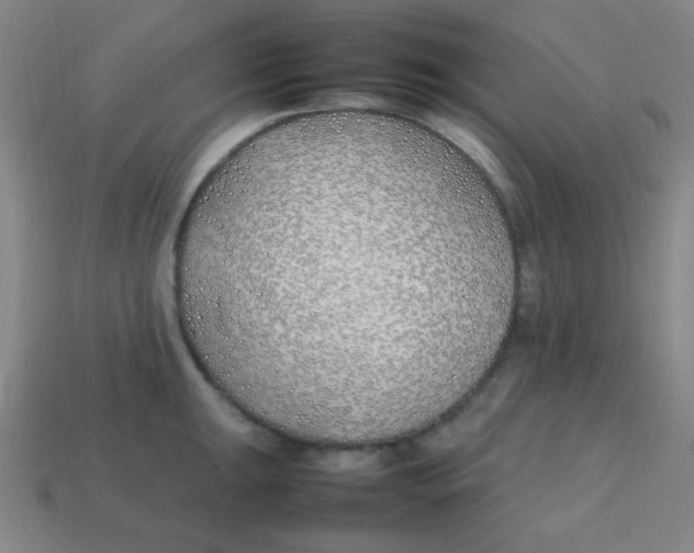 X0000113871047200910221331