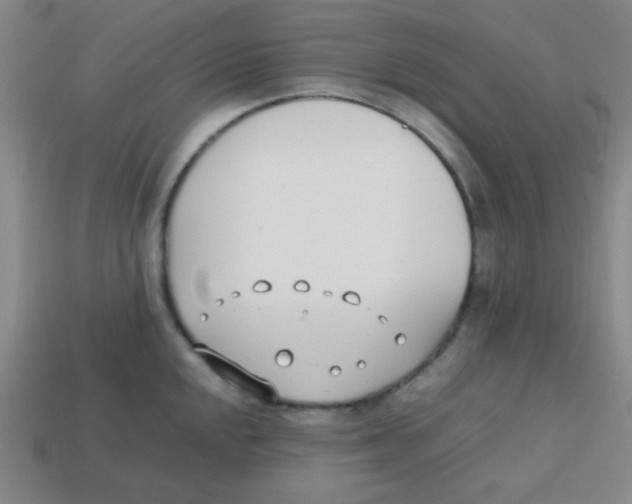 X0000113871048200910221331