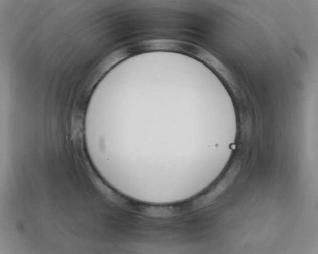 X0000113871049200910221331