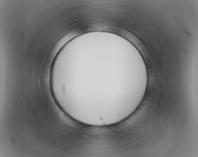 X0000113871050200910221331