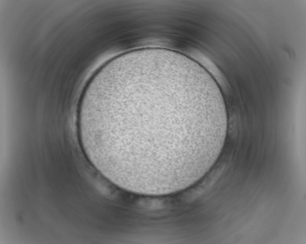 X0000113871051200910221331