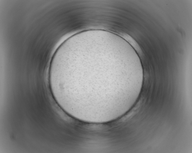 X0000113871052200910221331
