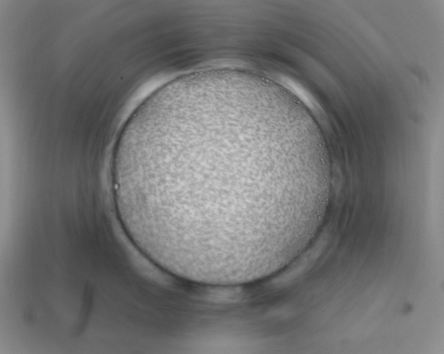X0000113871055200910221331