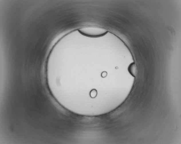 X0000113871056200910221331
