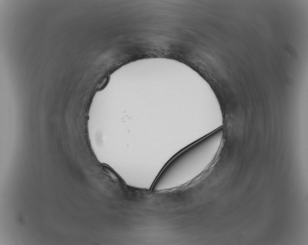 X0000113871057200910221330