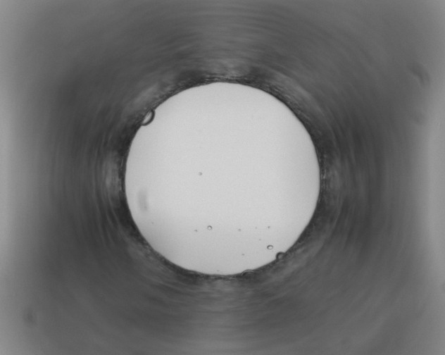 X0000113871058200910221330