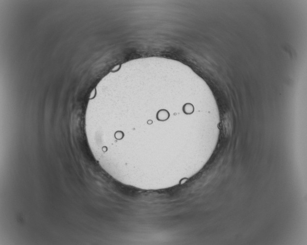 X0000113871059200910221330
