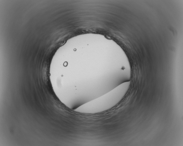 X0000113871060200910221330