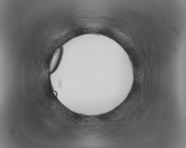 X0000113871061200910221330