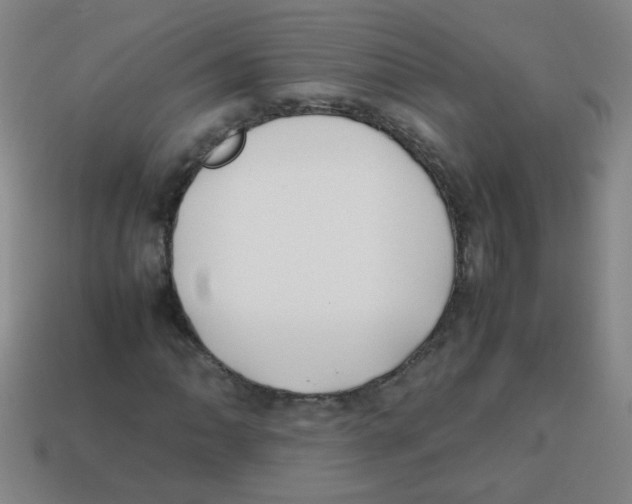 X0000113871062200910221330