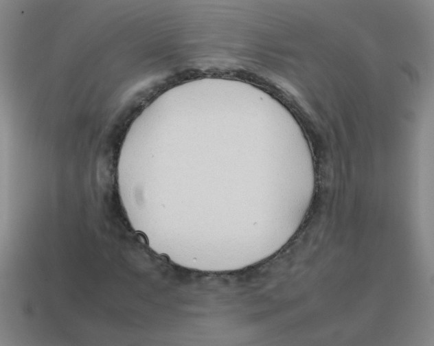 X0000113871063200910221330