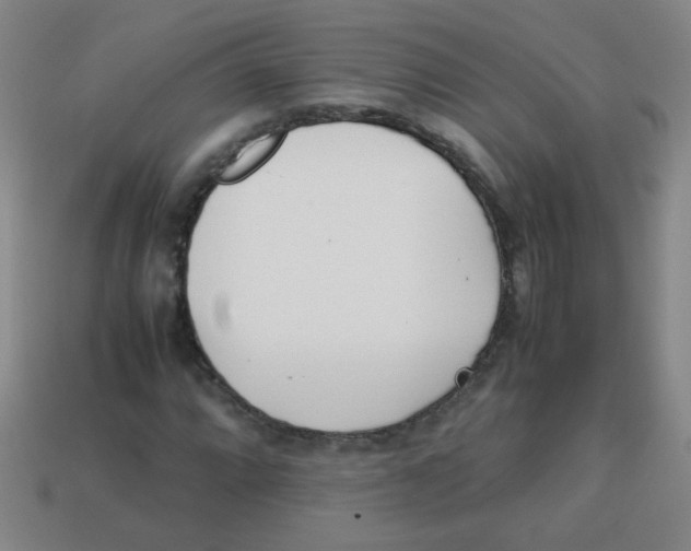 X0000113871064200910221330