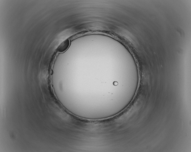 X0000113871065200910221330