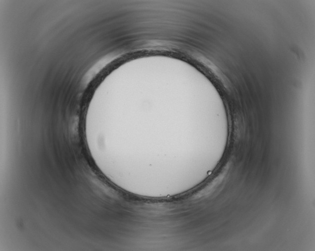 X0000113871066200910221330