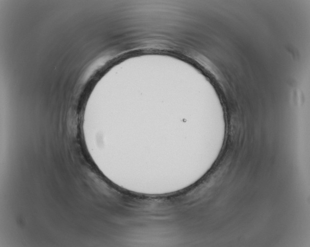 X0000113871067200910221330