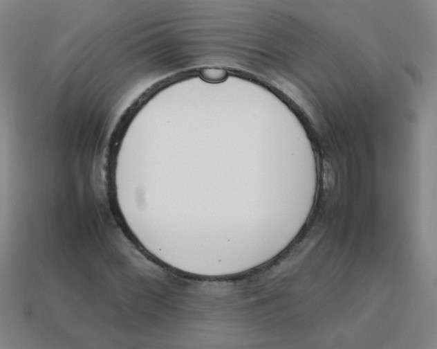 X0000113871068200910221330