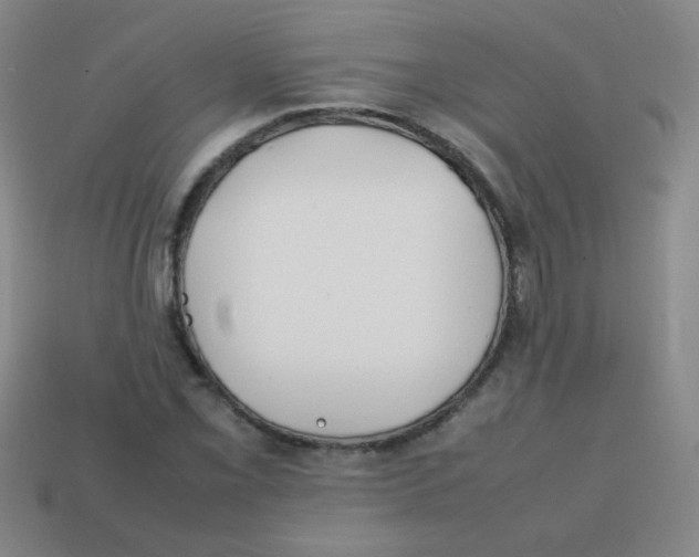 X0000113871069200910221330
