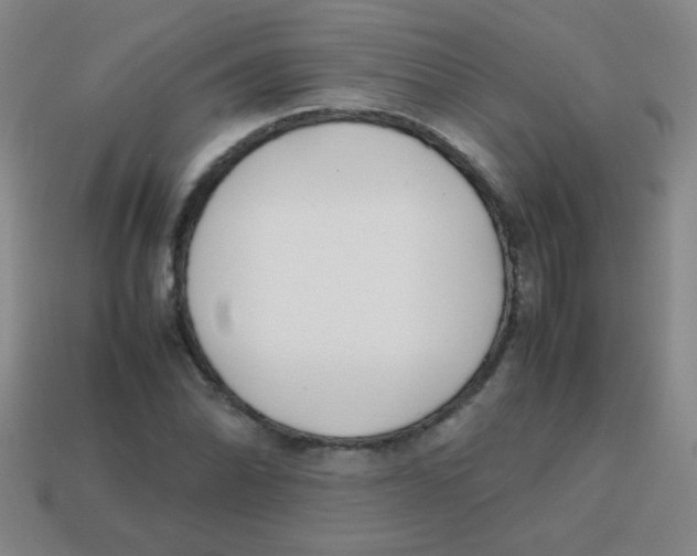 X0000113871070200910221330