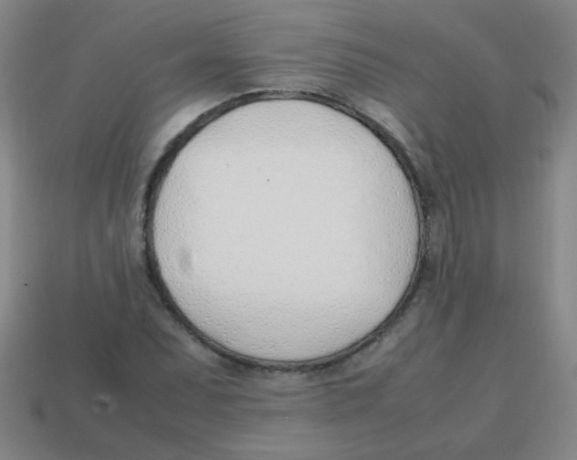 X0000113871071200910221330