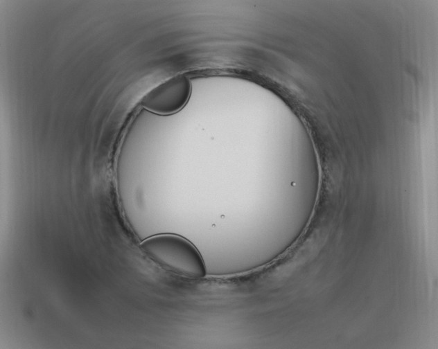 X0000113871073200910221330