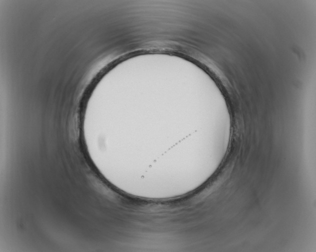 X0000113871075200910221330