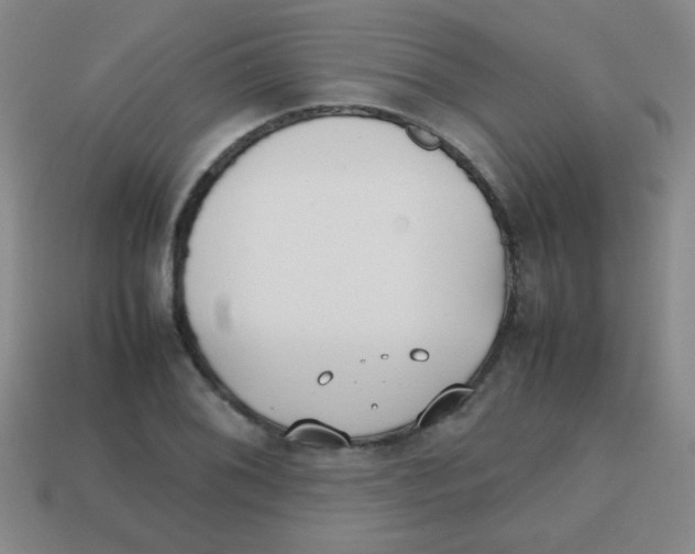 X0000113871076200910221330