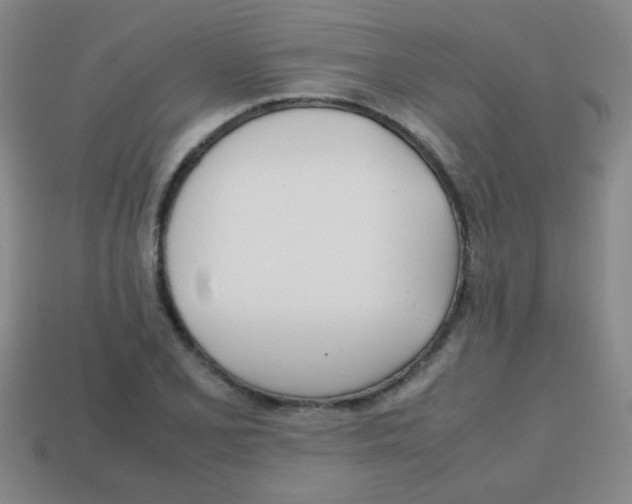 X0000113871077200910221330