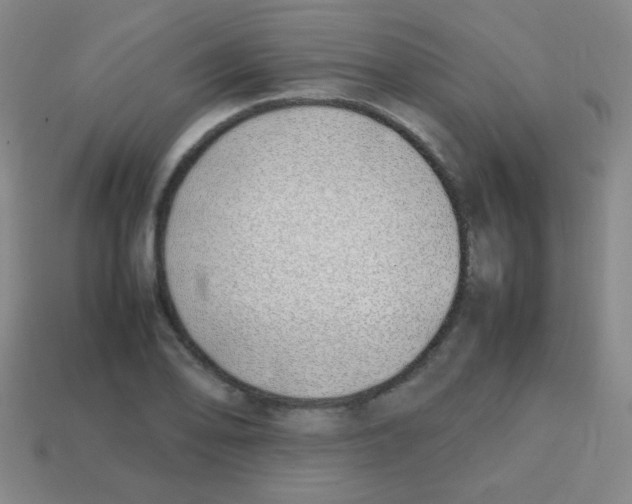 X0000113871078200910221330