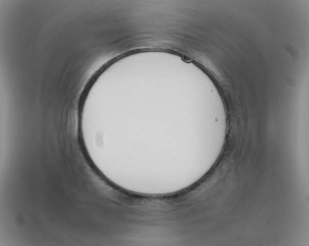X0000113871079200910221330