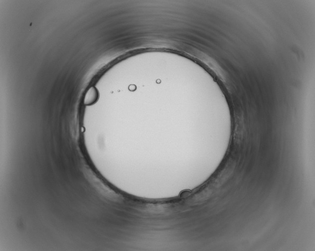 X0000113871080200910221330