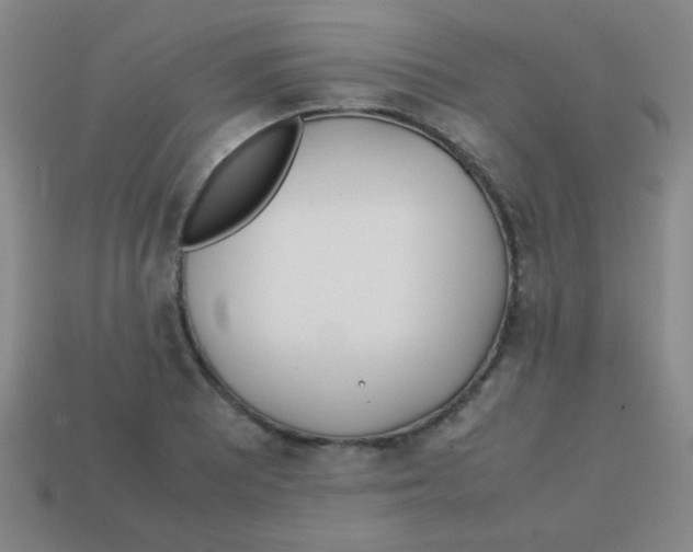 X0000113871081200910221330