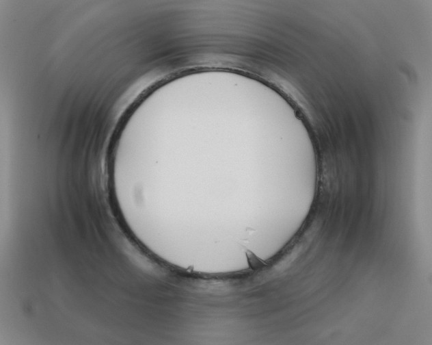 X0000113871082200910221330