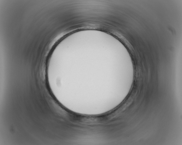X0000113871083200910221330