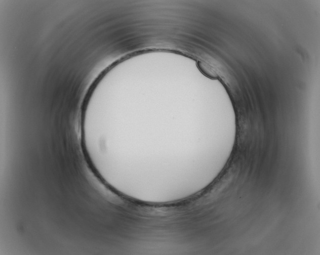 X0000113871084200910221330