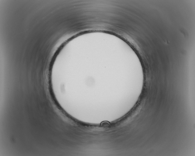 X0000113871085200910221330